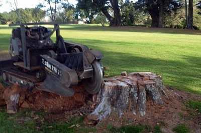 Stump-Grinding