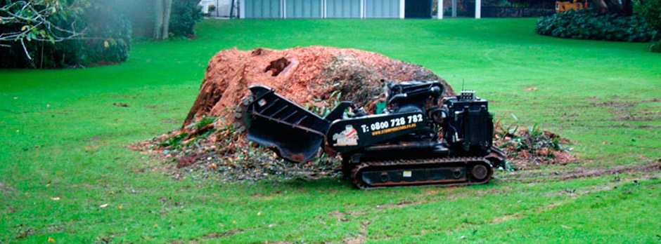 auckland-waikato-stump-grinding auckland-stump-grinding