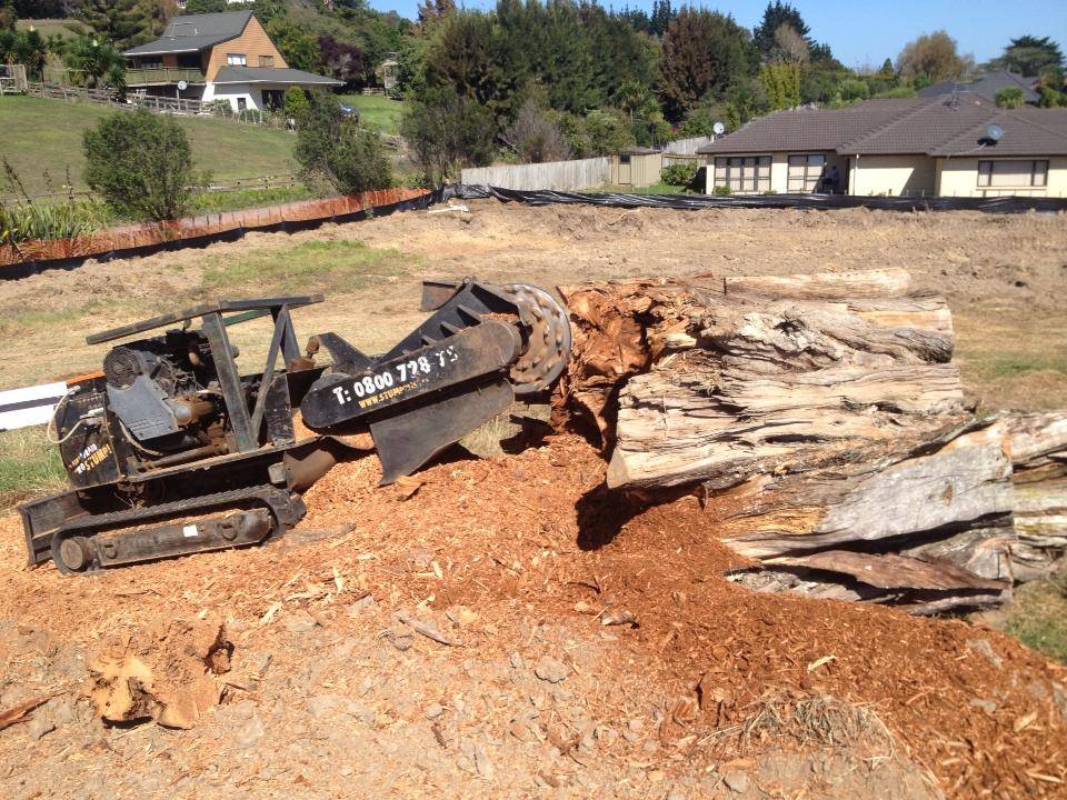 Lifestyle Property Stump Grinding Service Lifestyle Property Stump Grinding Service