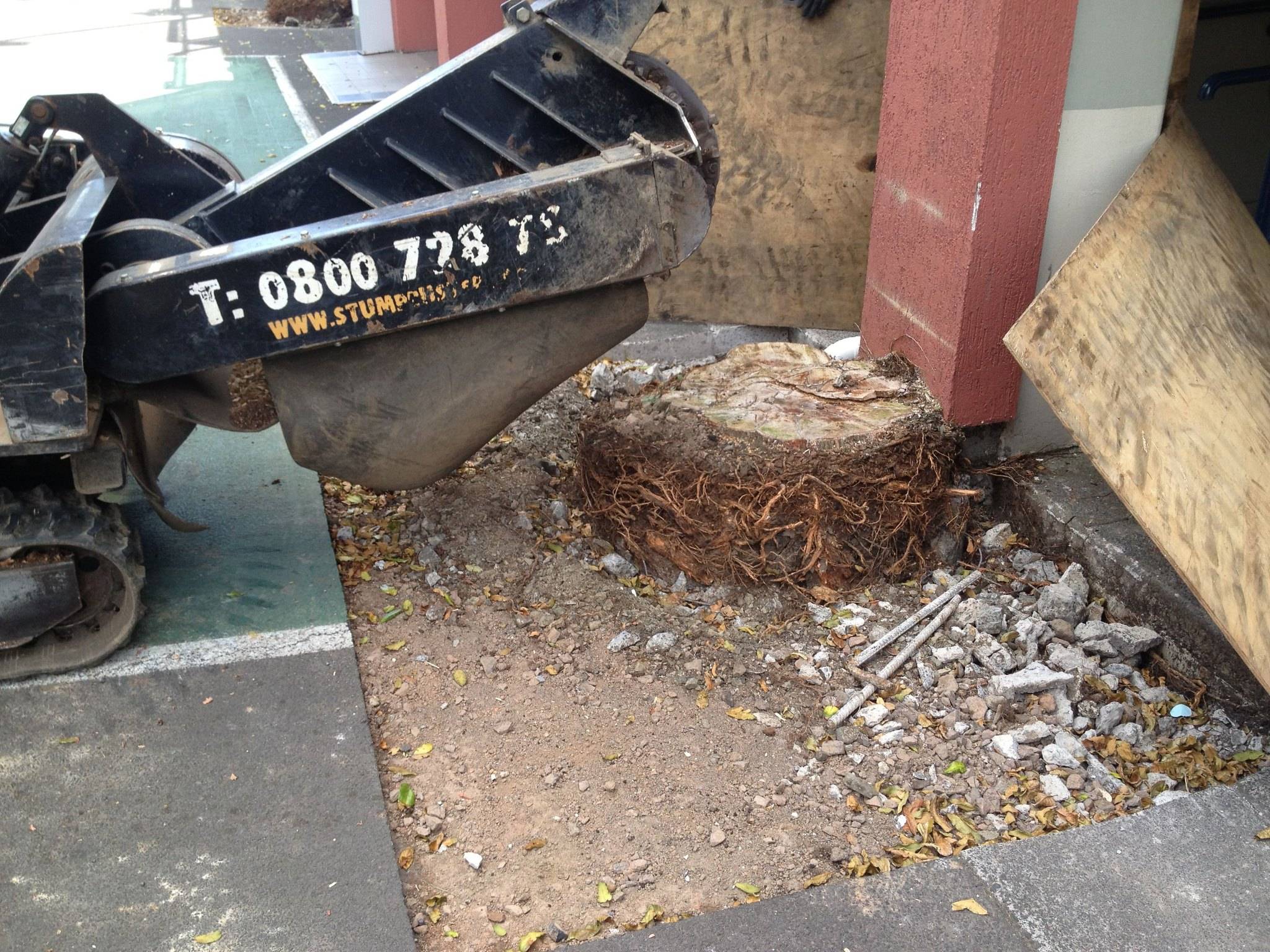 stum removal residential service stum removal residential service