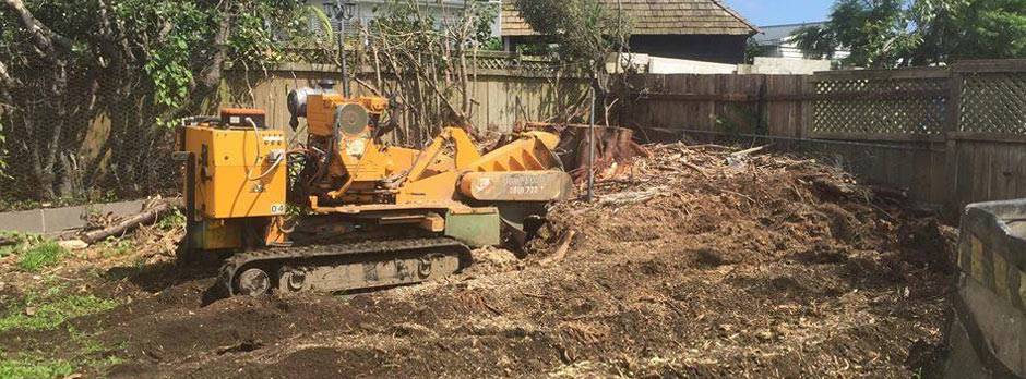 Small Stump Removal Service Small Stump Removal Service