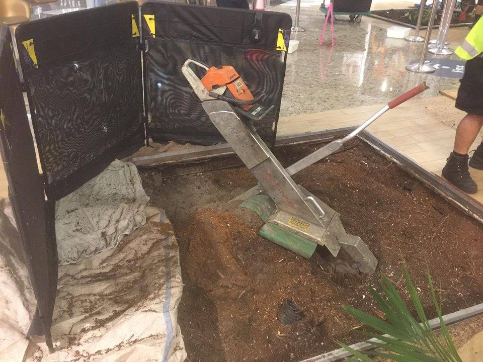Commercial Stump Grinding and Tree Removal Commercial Stump Grinding and Tree Removal