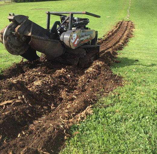 removing small tree stumps removing small tree stumps